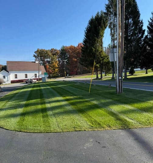 lawn-maintenance-services