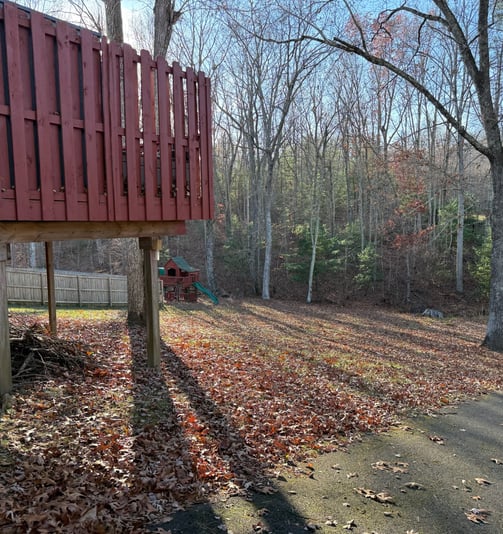 yard with leafs 