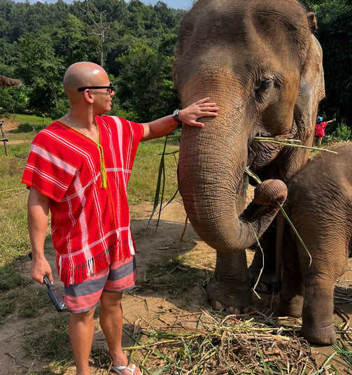 Elefante no santuário dos elefantes na Tailândia