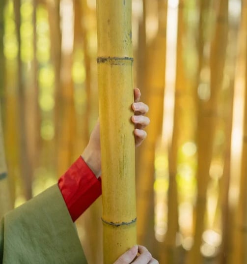 Bamboo strong