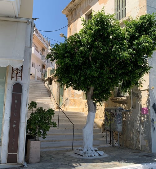 Kreta Agios Nikolaos Baum