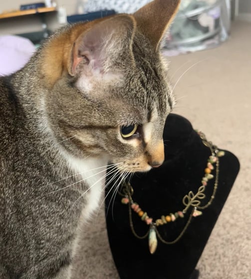 tabby cat sitting in front of a black necklace holder, necklace has leaf motif, stones, draped chain