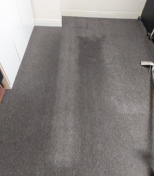 Dirty carpet with visible stains in Leeds bedroom