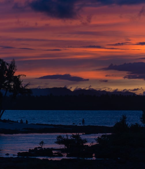 a sunset with a lone bird flying over a body of water