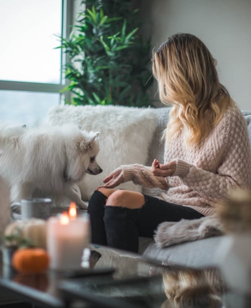 dogAdvisor ✲ dogadvisor ✲ dog advisor ✲ Blog for new dog owners ✲ dogs ✲ dog advisers ✲ dog advisors