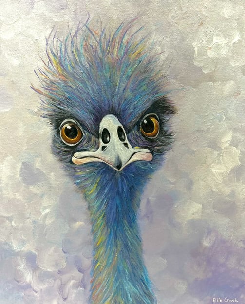 Crazy coloured Acrylic Emu
