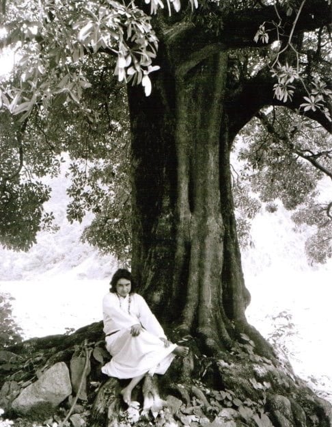Shri Babaji