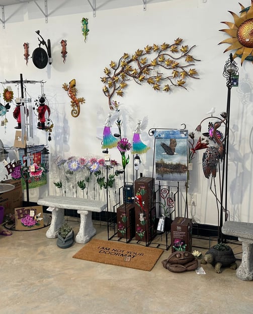 Specials and Deals 50% off while supplies last