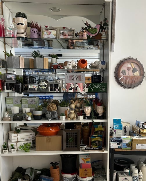 Specials and Deals 50% off while supplies last