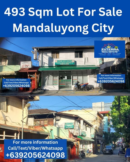Euterra Real Estate 493 Sqm Lot for sale in Mandaluyong City