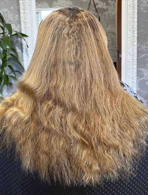 Antes: Cabelo danificado e sem vida.