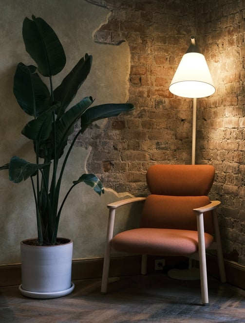 Casa harmoniosamente decorada, combinando plantas, quadros e móveis para uma atmosfera única.