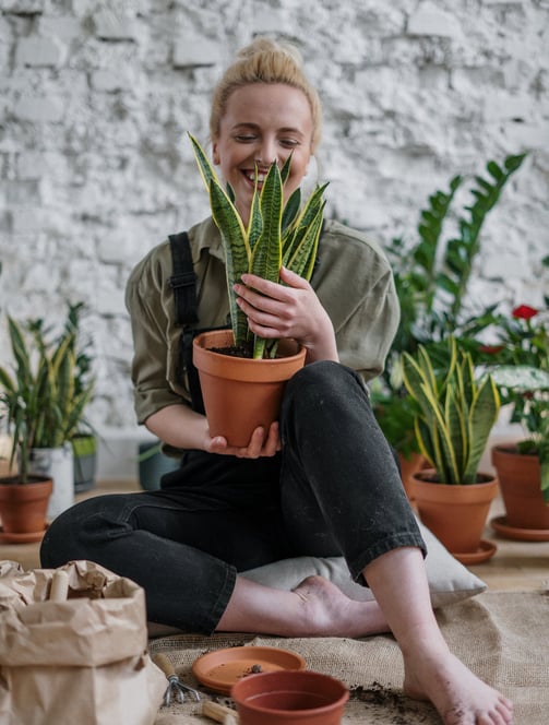 Momento zen: mulher cuidando amorosamente de suas plantas, criando um oásis de serenidade.
