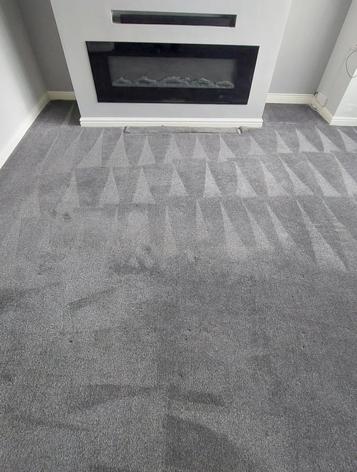 pet and food stains professionally removed in living room in Leeds