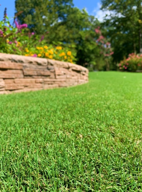 beautiful lawn williamsburg va