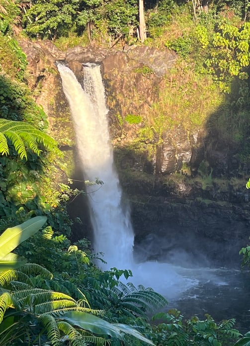 a waterfall in the middle of a lush green forest