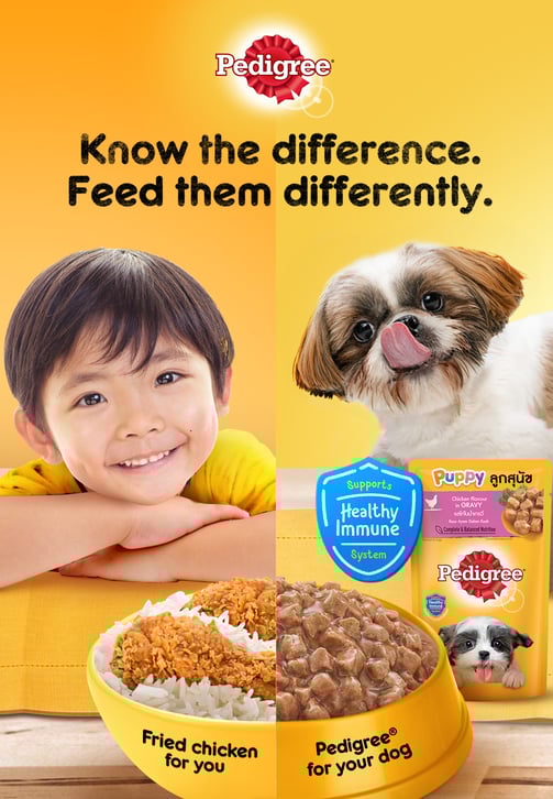 "Pedigree campaign visual showing a young child with fried chicken and a Shih Tzu puppy with Pedigre