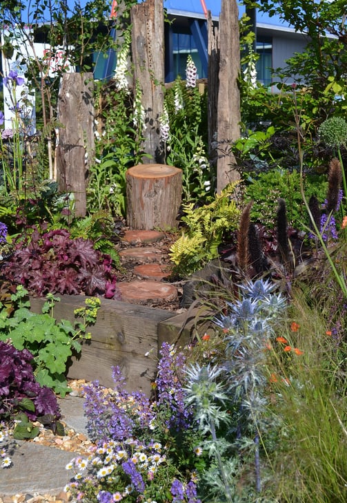 Gardeners' World Live 2024 Share my space with nature.