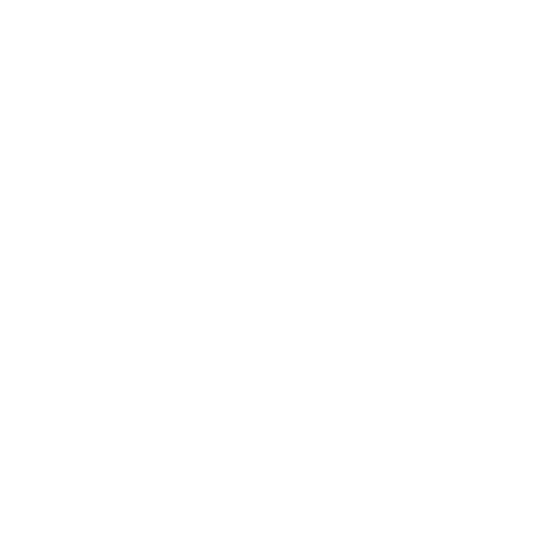 Saavistech logo