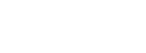 Studio CIcada logo