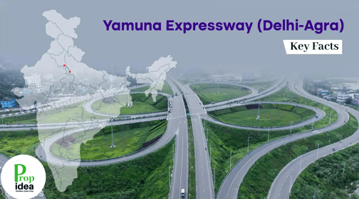 Popidea yamnua expressway