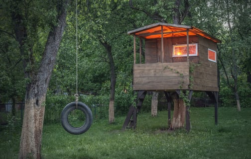 Cabane sur pilotis construite autour d'un arbre