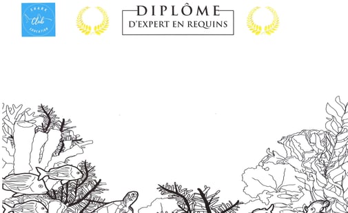 diplôme expert requins Shark Education Club
