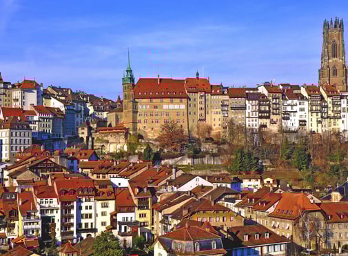 Fribourg insectes du bois 