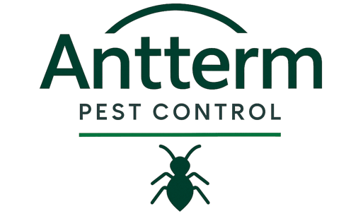Antterm logo