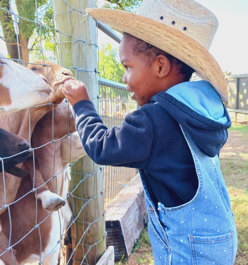 little boy in overalls and cowboy hat feeding animals at Gaver Farms