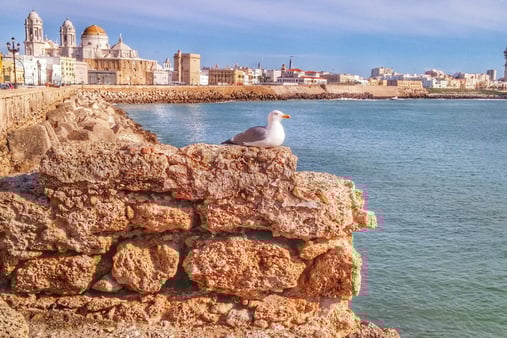 Panorámica de Cádiz