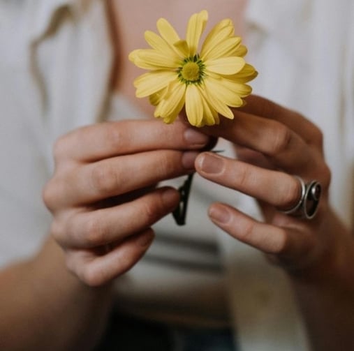 Yellow Flower