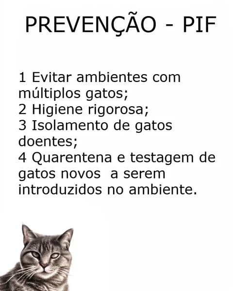 prevencao_PIF
