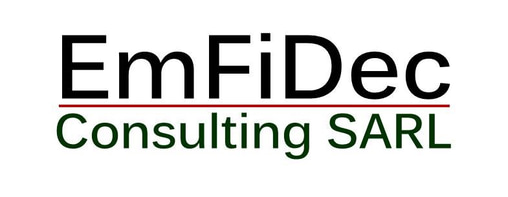EmFiDec Consulting SARL logo