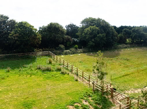 Paddock Fencing _ Land Culture