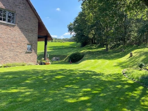 a house with a large lawn and a large tree