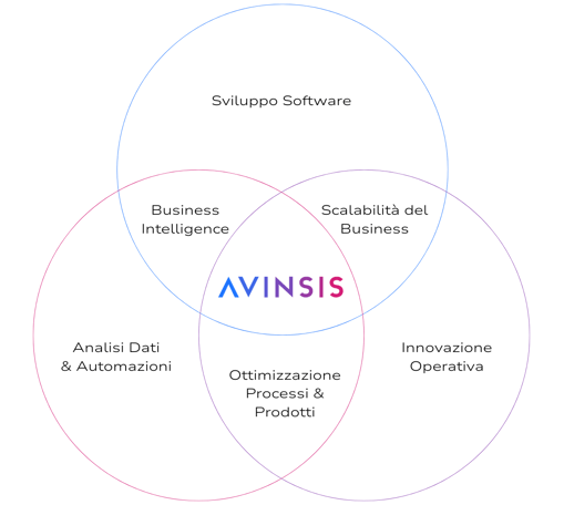 rosa delle skills: sviluppo software, analisi dati e automazioni, innovazione operativa