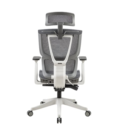 ergomesh v2 the best ergonomic chair in Pakistan