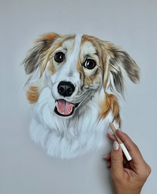 Pet portrait commission