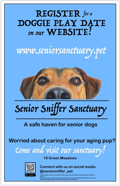 Created with Adobe Illustrator for Graphics Design Final Project 