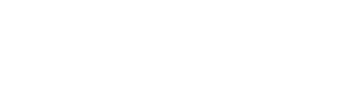 Lisure Technology Co. logo