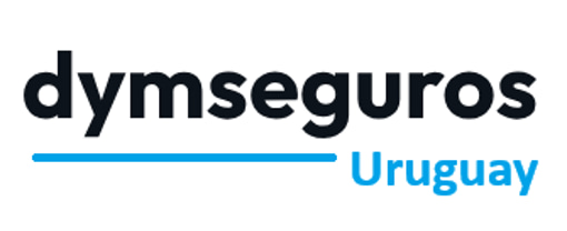 dymseguros logo