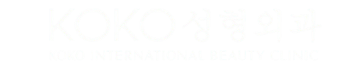dr koko assistant logo