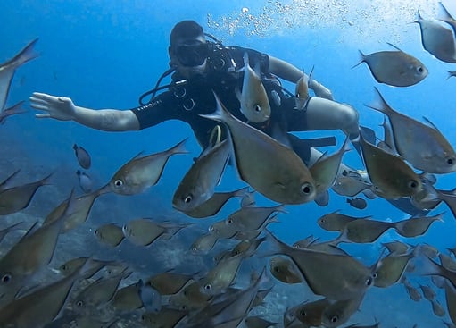 a person in a scuba suit is diving in the water