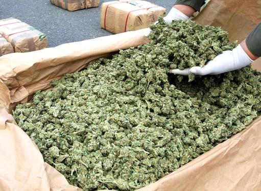 Wholesale Cannabis