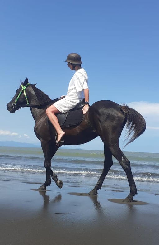 horse riding adventure
