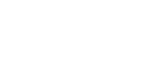 505 for food logo