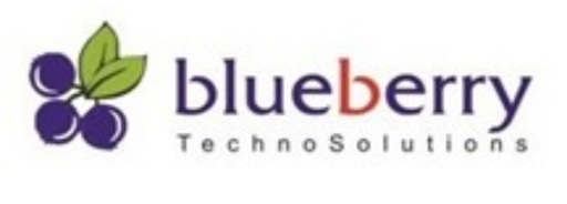 Blueberry TechnoSolutions logo