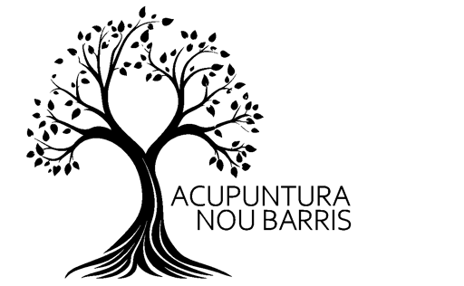 Acupuntura Nou Barris logo