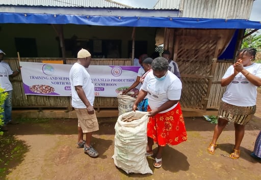 Cassava practical training on Seed production